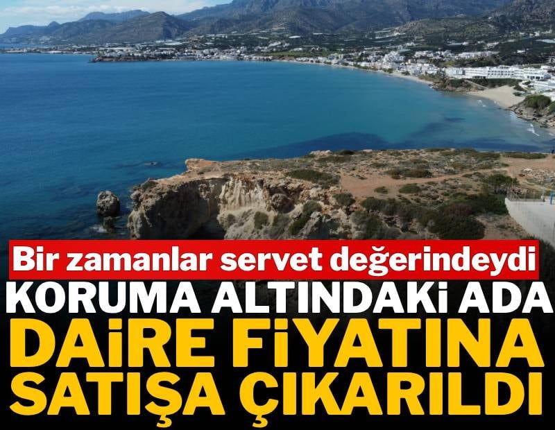 Bir zamanlar servet değerindeydi: Koruma altındaki ada daire fiyatına satışa çıkarıldı