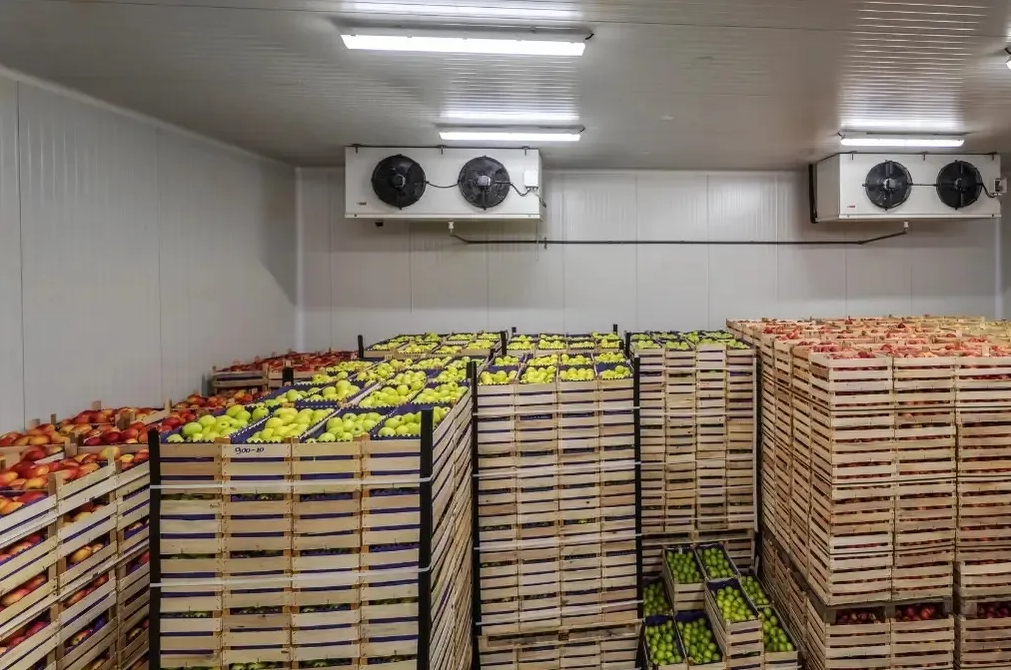 Gıda devi iflas etti: Yerel marketlerin vazgeçilmeziydi