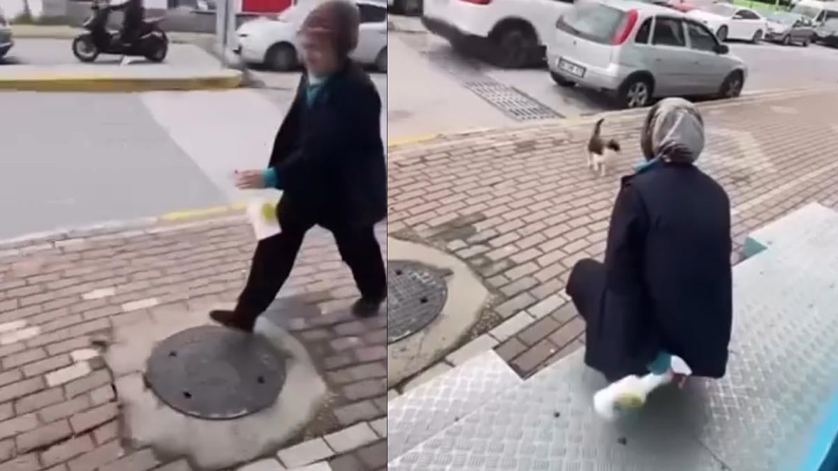 Kedinin yüzüne sprey sıkan market çalışanı gözaltına alındı