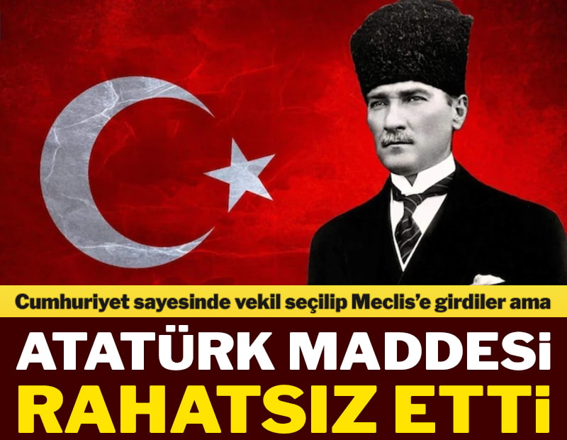 Atatürk maddesi rahatsız etti