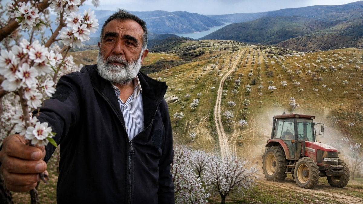 Traktöre bile hiç binmemişti: Rekor hasat elde etti
