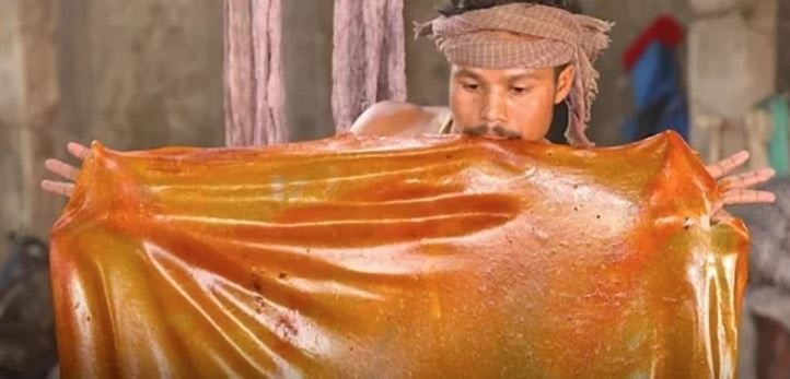 Her gün keyifle yiyorduk: Meğer böceklerin ağzından çıkıyormuş