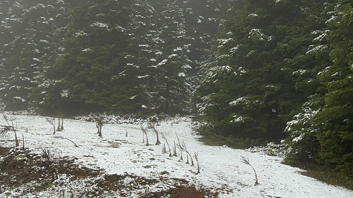 Bolu'nun yüksek kesimlerine kar yağdı