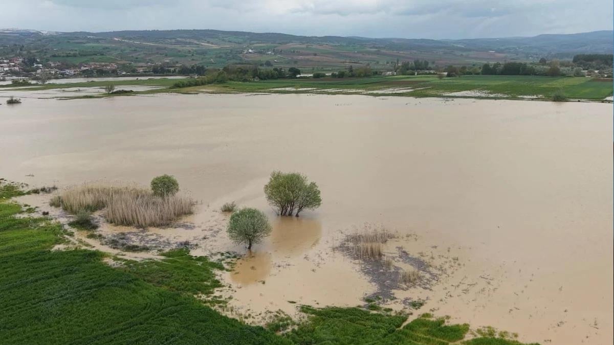 Bursa'da baraj gövdesinde izinsiz ekilen araziler su altında kaldı