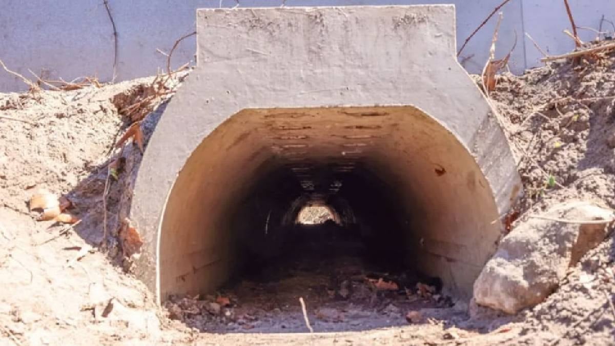 Çiftleşmeleri için 1,8 milyon liraya özel alt geçit yapıldı