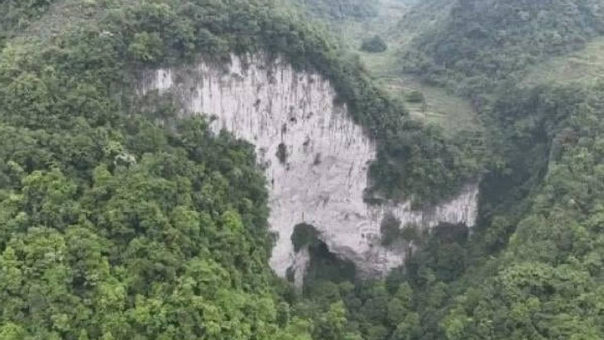 Ülke 78 milyar ağaç dikti felaketi yaşadı