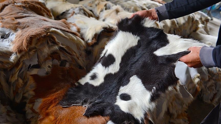 Kurban derisi altın değerinde