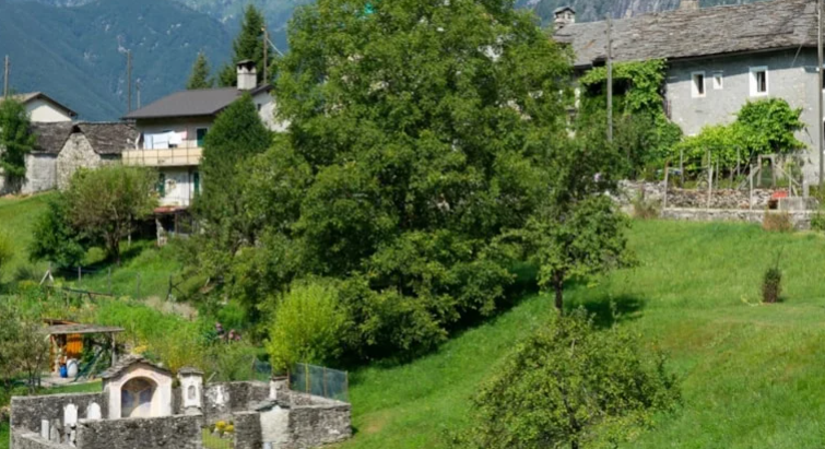 Köyüne gelenlere servet veriyorlar 