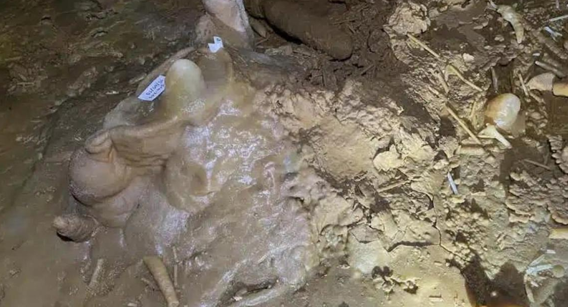 Gördükleri şey karşısında dona kaldılar: Dünyayı ayağa kaldırdı