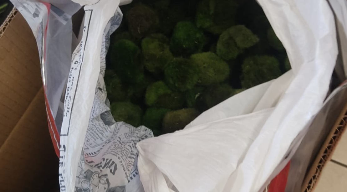 2 bin 125 tanesi canlı olarak sınırda yakalandı: Servet değerinde 