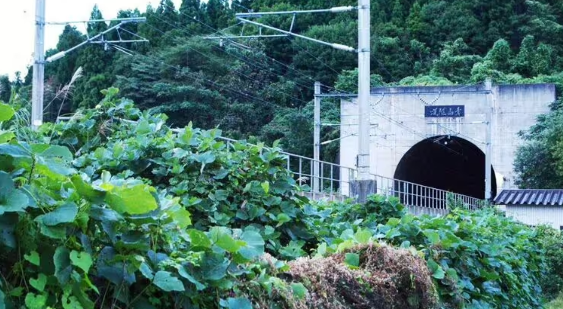 Dünyanın en uzun tüneli 15 yılda inşa edildi