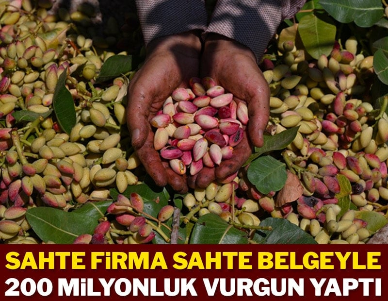 Fıstık gibi vurgun
