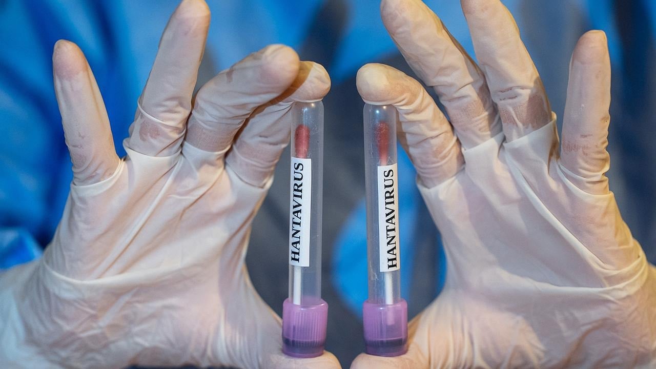 Hantavirüs'ün yayıldığı gemide mahsur kalan doktor, hastalığın nasıl başladığını anlattı