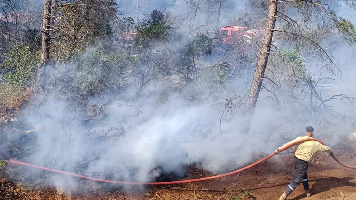Hatay’da orman yangını