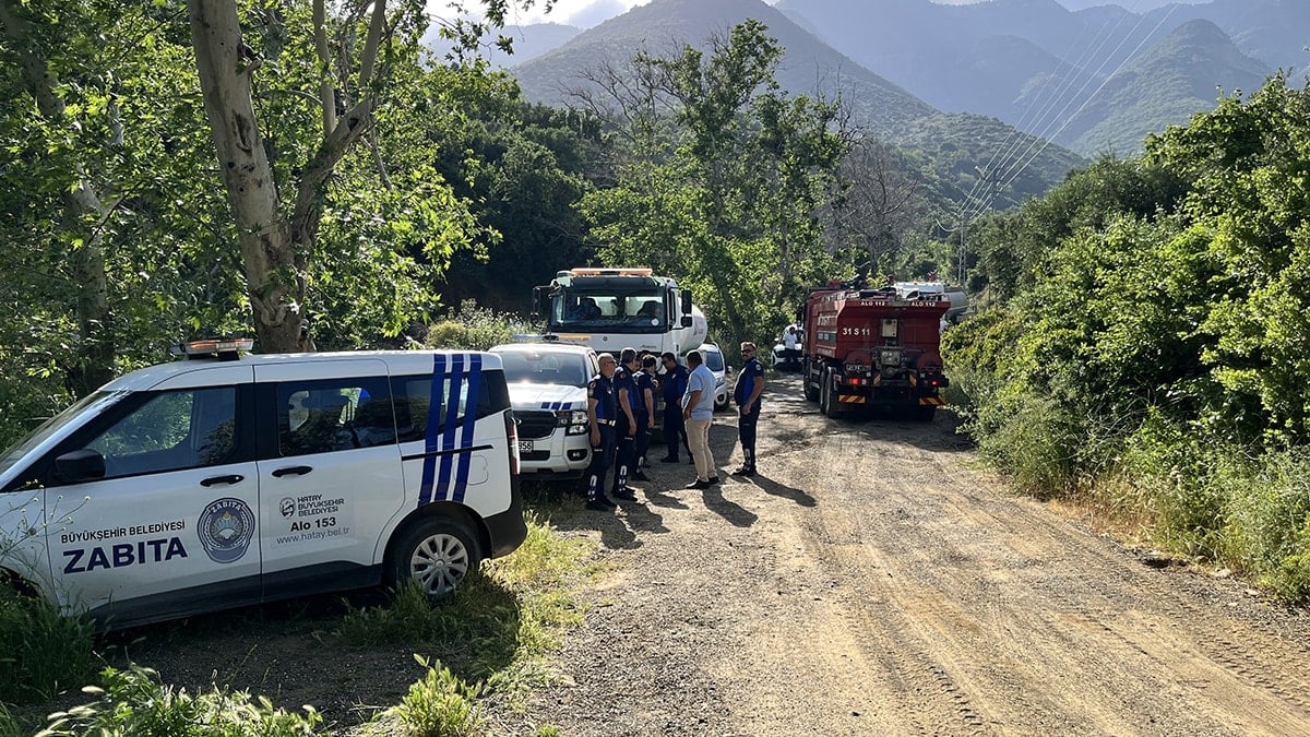 Hatay Kırıkhan'da orman yangını