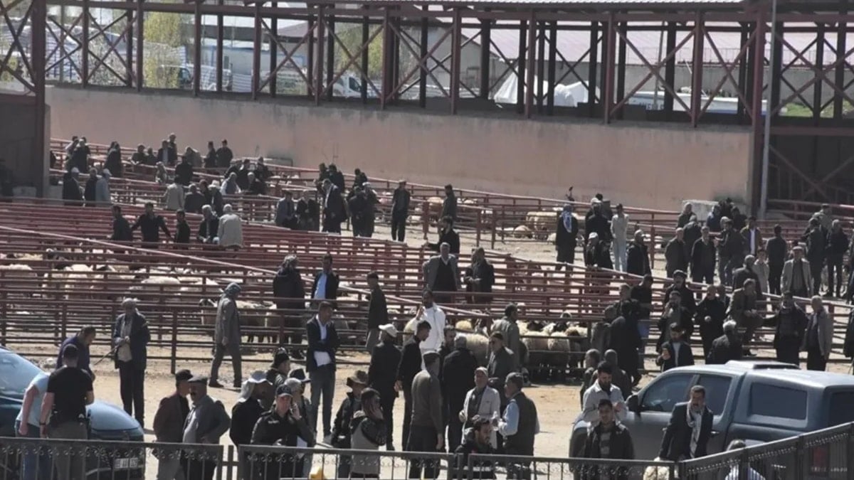 Kurban Bayramı öncesi hayvan pazarında kan aktı! 1 ölü, 13 yaralı
