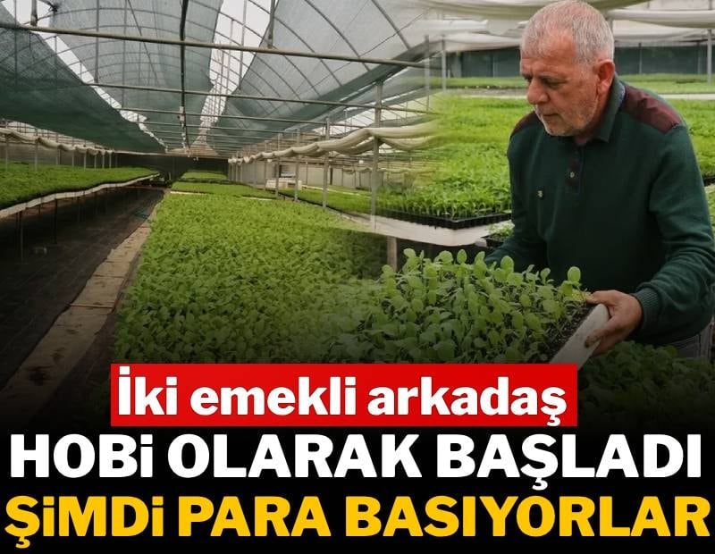 İki emekli hobi diye başladı, şimdi para basıyorlar