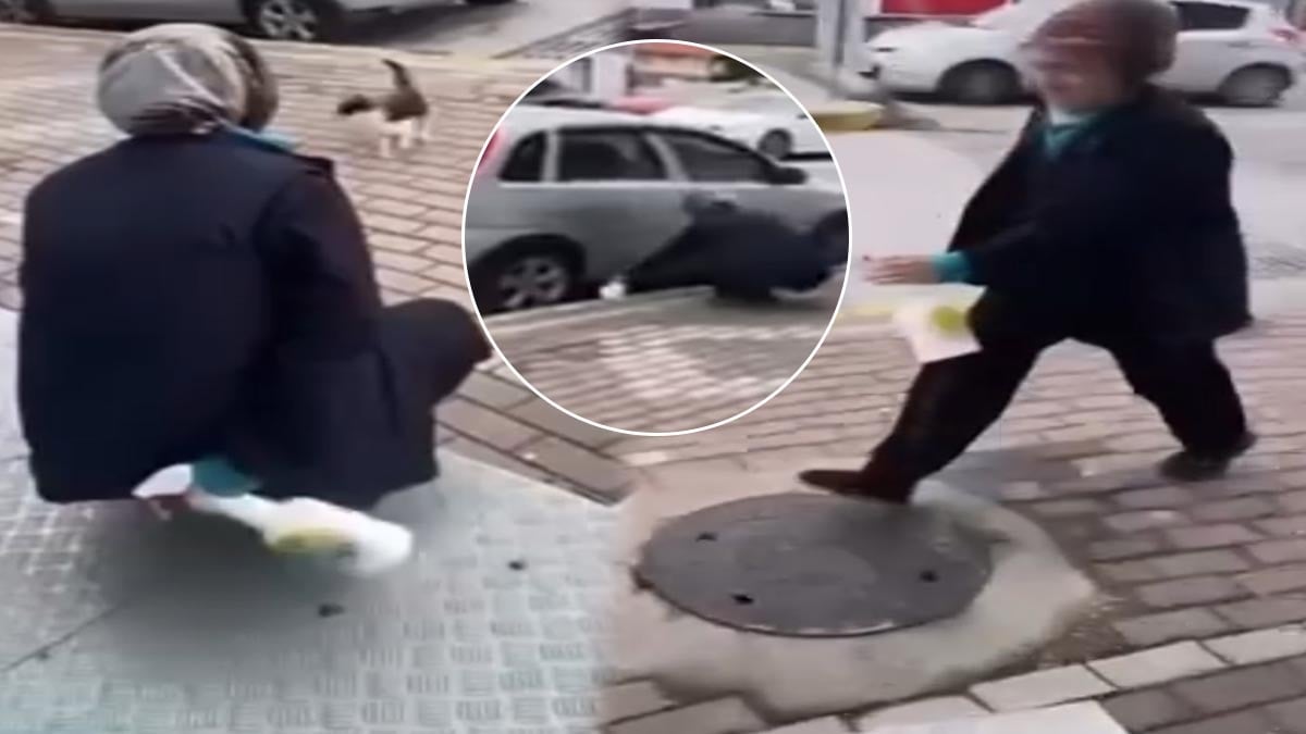 Sokak kedisine yaptığı eziyeti paylaşan vicdansız çalıştığı zincir marketten kovuldu