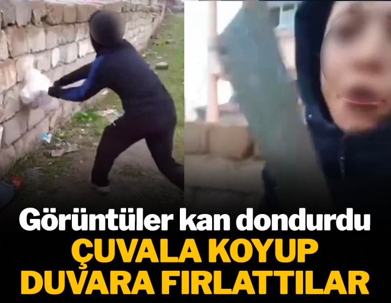Görüntüler kan dondurdu! Çuvala koyup duvara fırlattılar
