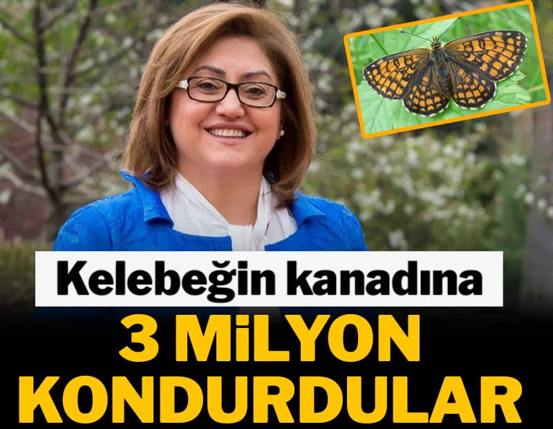 AKP’li Başkan’dan kelebeğe 3 milyon