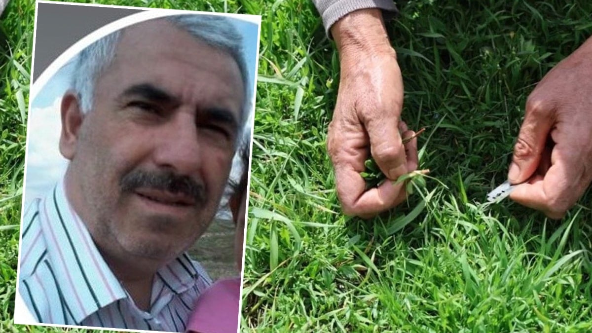 Madımak toplarken kene ısırdı: 10 gün sonra hayatını kaybetti