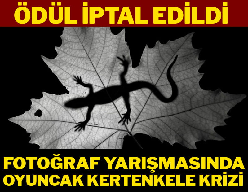 TFMD Yılın Basın Fotoğrafları yarışmasında “oyuncak kertenkele” krizi: Ödül iptal edildi