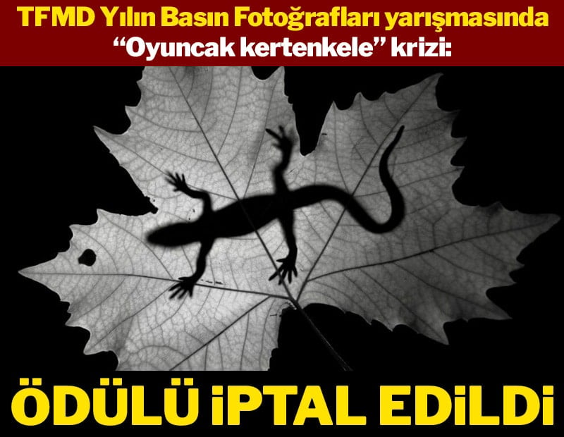TFMD Yılın Basın Fotoğrafları yarışmasında “oyuncak kertenkele” krizi: Ödülü iptal edildi