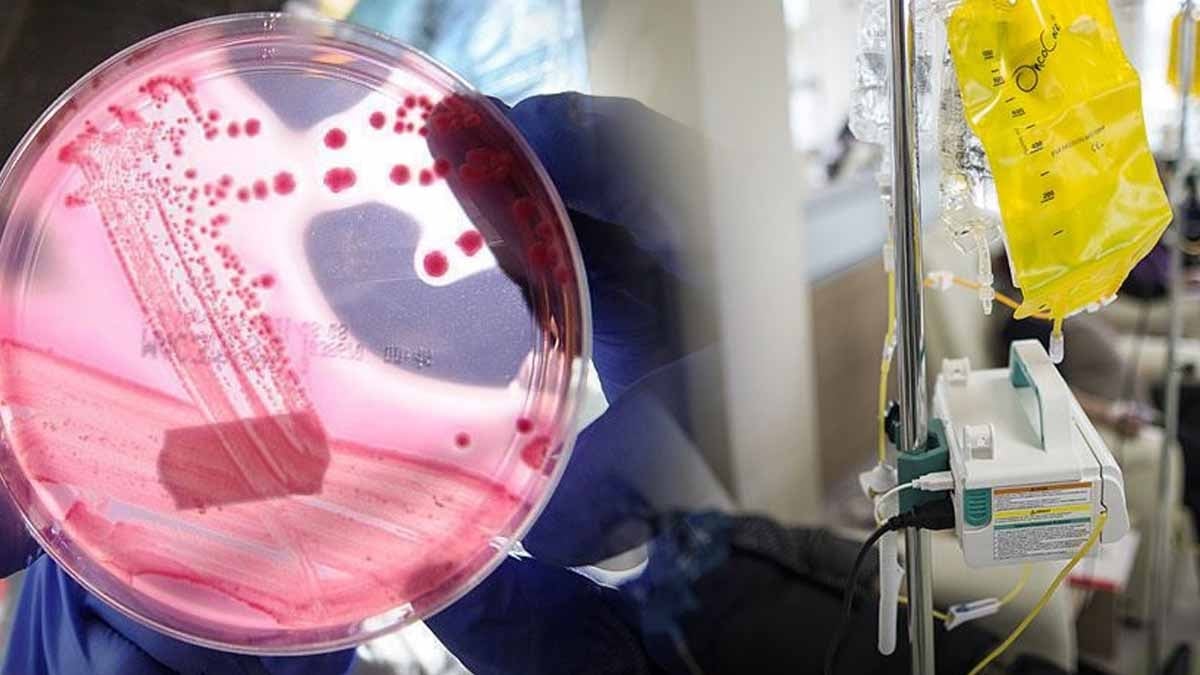 Kanserin başlangıç ​​noktası keşfedildi: Tamamen durdurmanın anahtarı olabilir