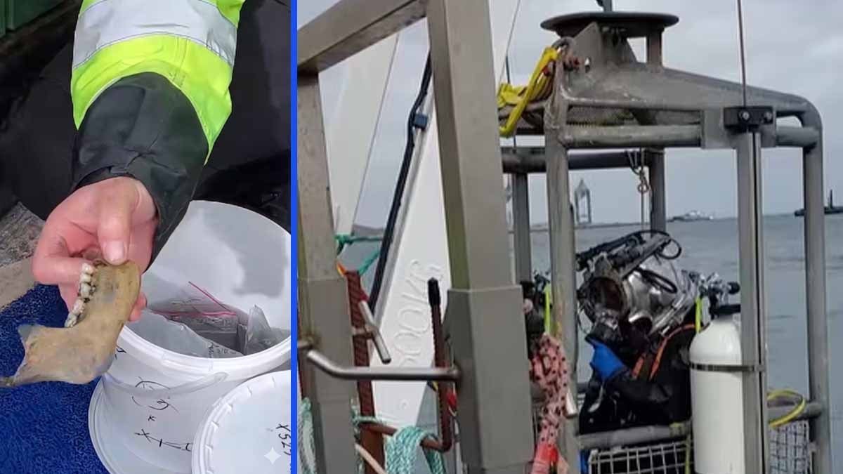 İnşaat kazısı 225 yıllık yasağı deldi: Bir çift ayakkabı tarihi yeniden yazdıracak 