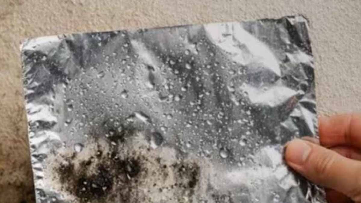 Mimarlar, alüminyum folyoyu 48 saat boyunca duvara yapıştırmayı öneriyor