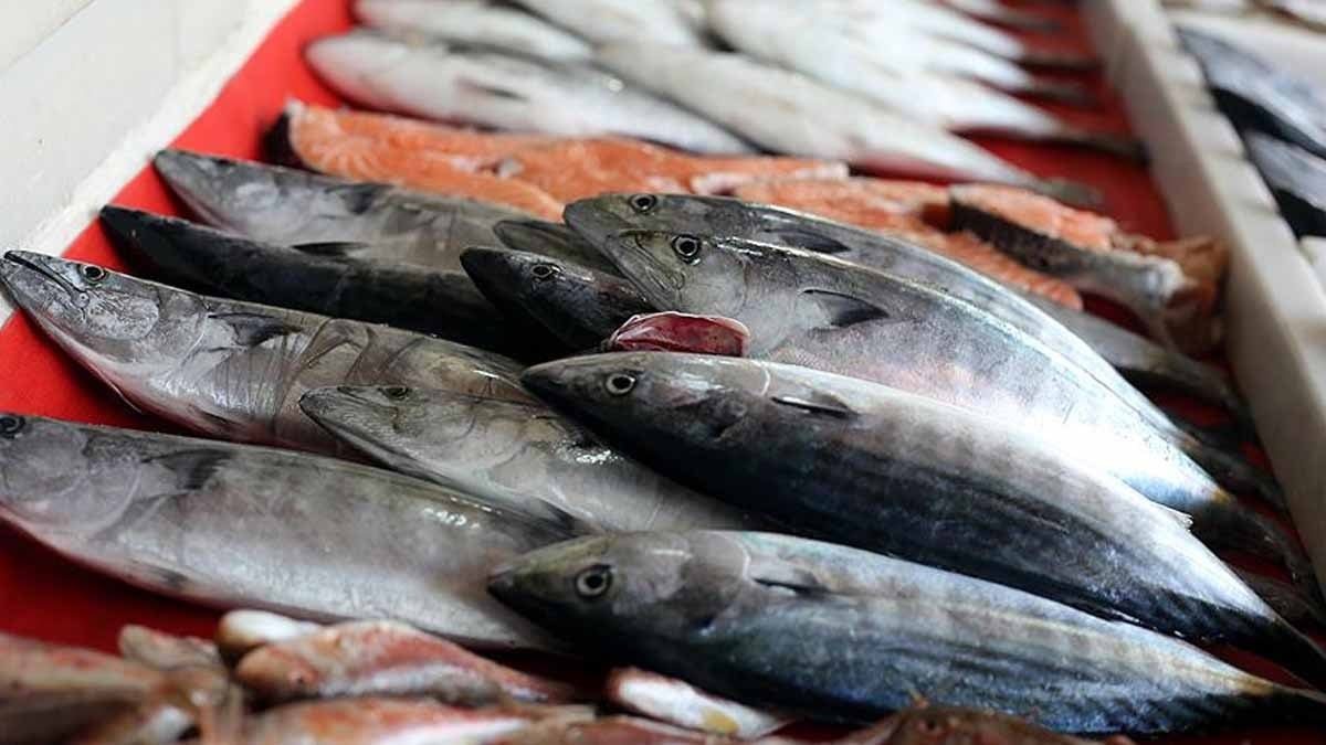 Dünyanın en sağlıksız 3 balığı belli oldu: Yerken 2 kez düşünün