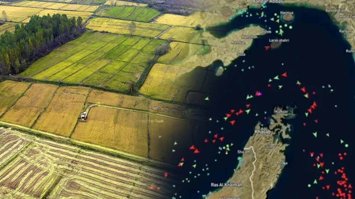 Hürmüz Boğazı tıkandı, El Nino kapıya dayandı: Her gün yediğimiz besin için tehlike çanları çalıyor