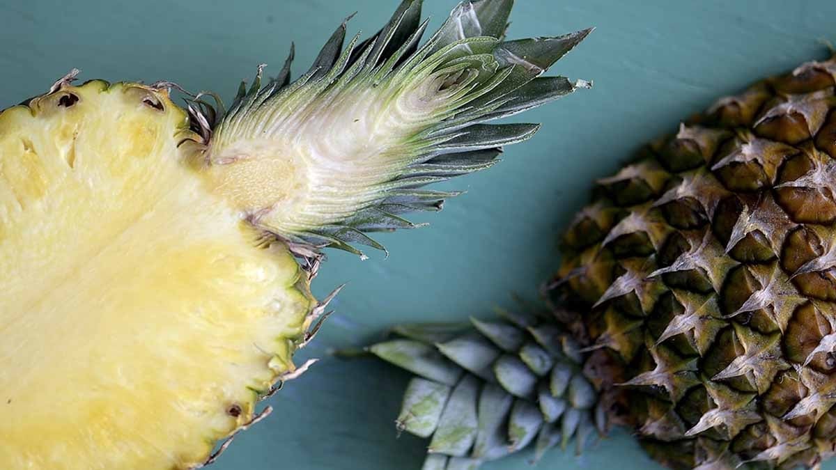 Bu 3 rahatsızlıktan herhangi birine sahip kişiler kesinlikle ananas yememeli