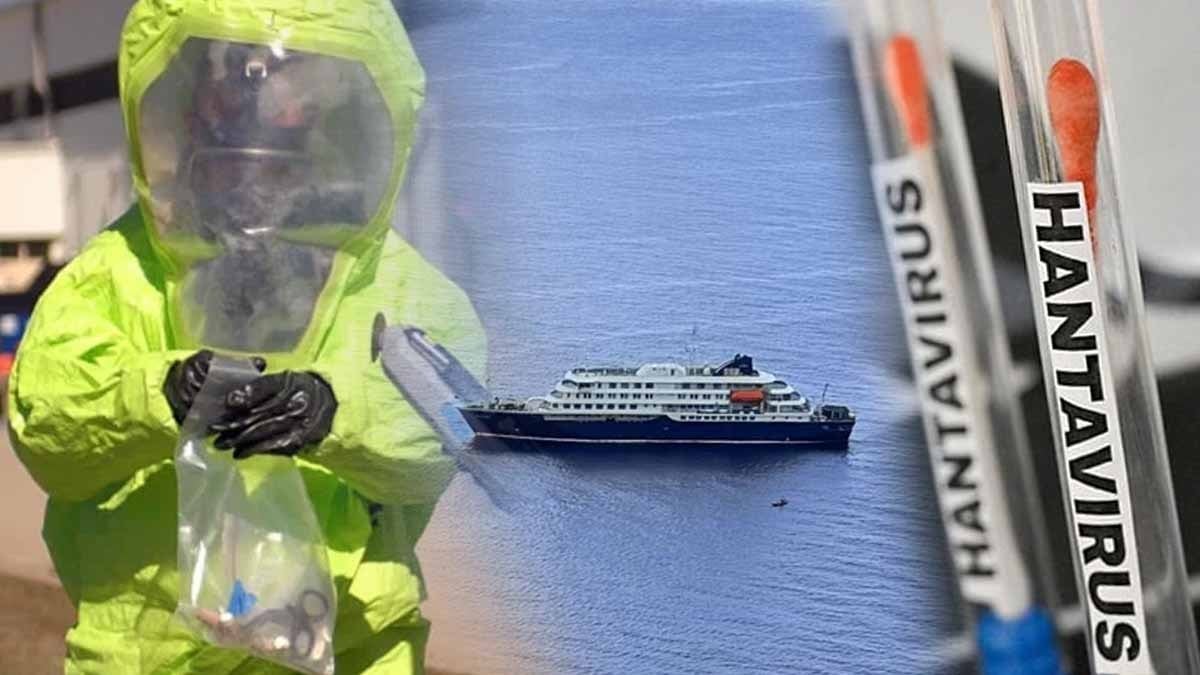 Sıradan bir virüs değil: Gemi yolcularını esir alan hantavirüs insandan insana nasıl yayılıyor?