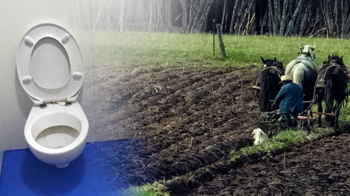Kendi dışkılarını gübre yapıp tarlada kullandılar: Tarımda 'dini' dokunuş 