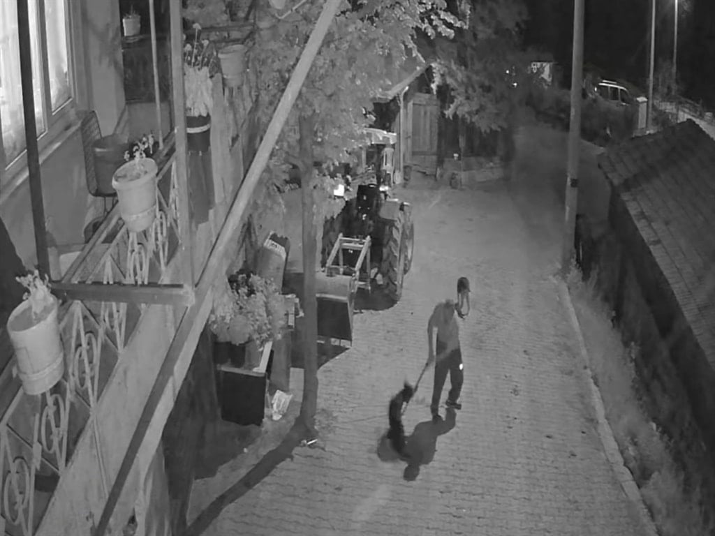 Köpeği demir çubukla acımasızca öldüren cani tutuklandı