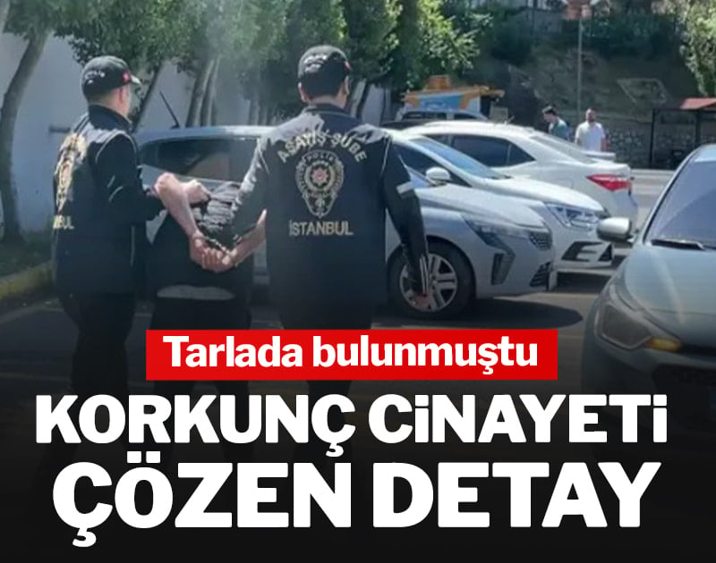 Cinayeti çözen detay! Tarlada bulunmuştu