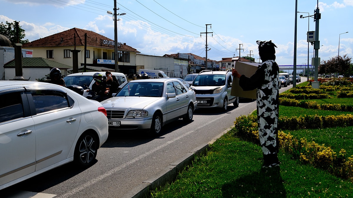 İnek kostümü giydi, açtığı pankartla sürücüleri gülümsetti