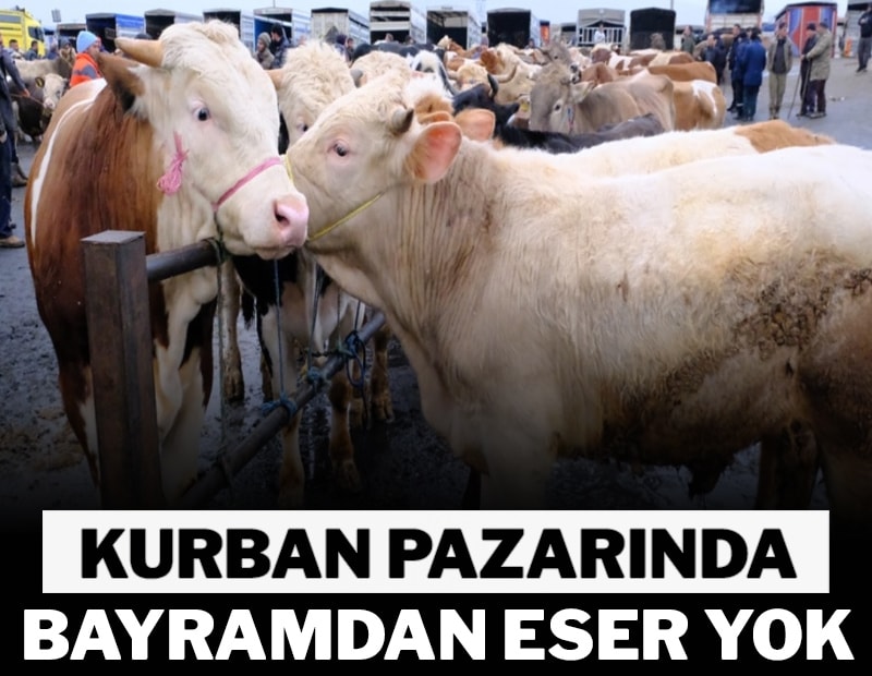 Kurban pazarında bayramdan eser yok