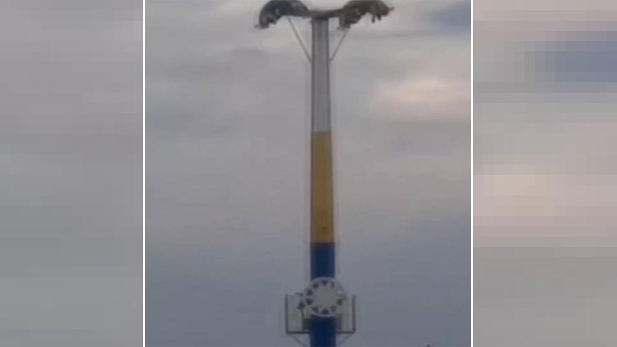 Lunapark’ta korku dolu anlar! Metrelerce yukarıda baş aşağı kaldılar