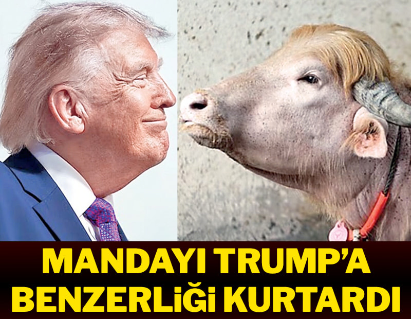 Mandayı Trump’a benzerliği kurtardı