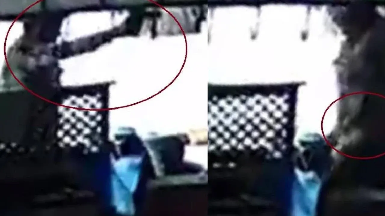 Mersin’deki vahşette kan donduran gerçek ortaya çıktı