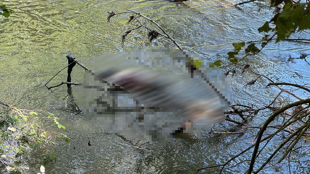 Nehir kenarında art arda cesetler bulundu
