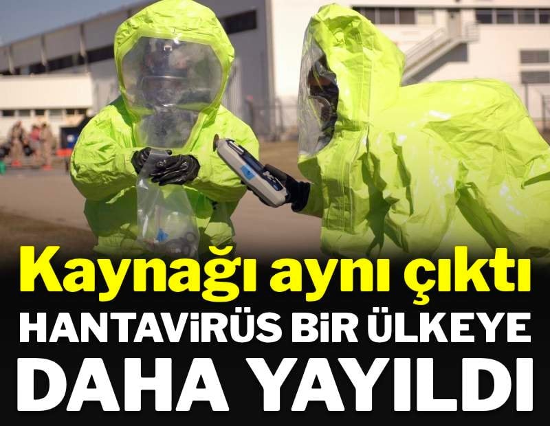 Kaynağı aynı! Hantavirüs bir ülkede daha tespit edildi