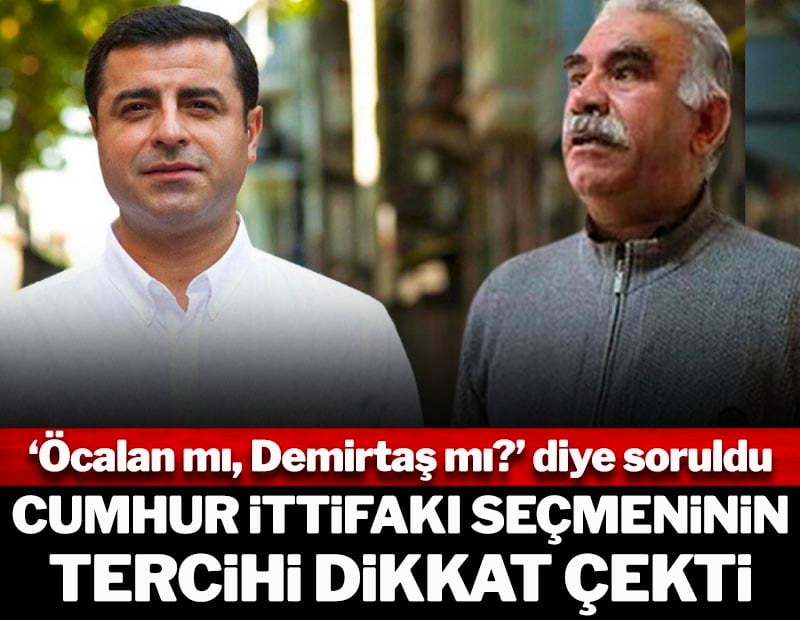 'Öcalan mı, Demirtaş mı?' diye soruldu! Cumhur İttifakı seçmeninin tercihi dikkat çekti