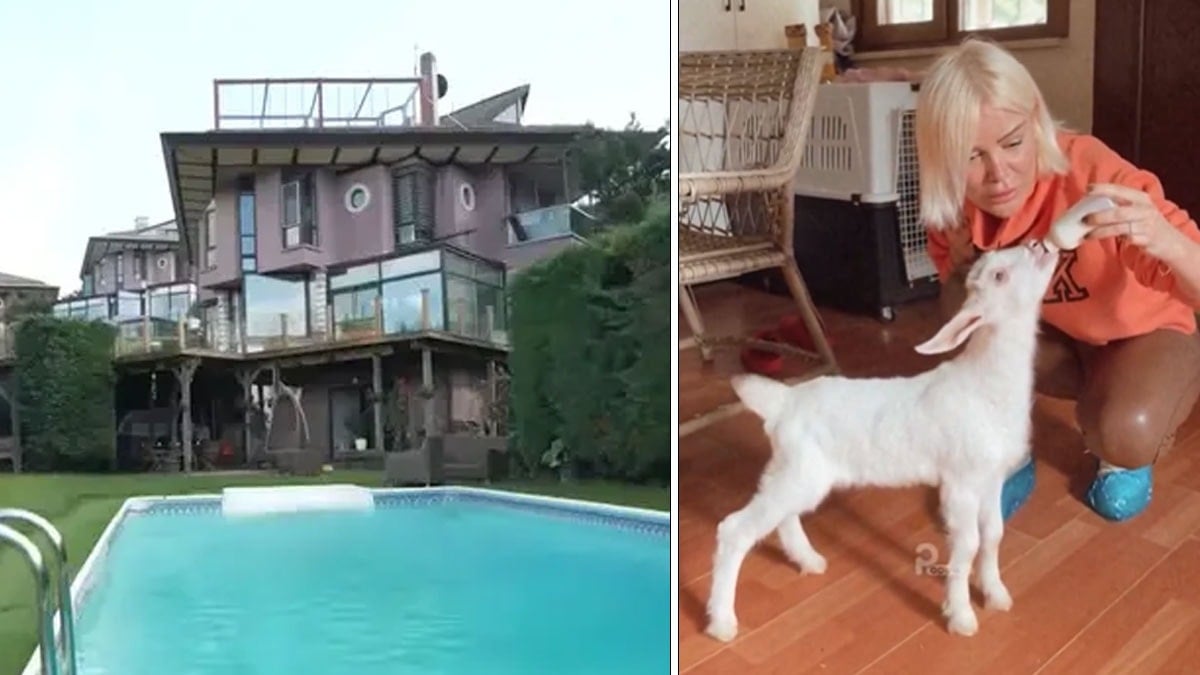 Beykoz'daki 4 katlı lüks villası olay oldu! Hayvan barınağına çevirdi