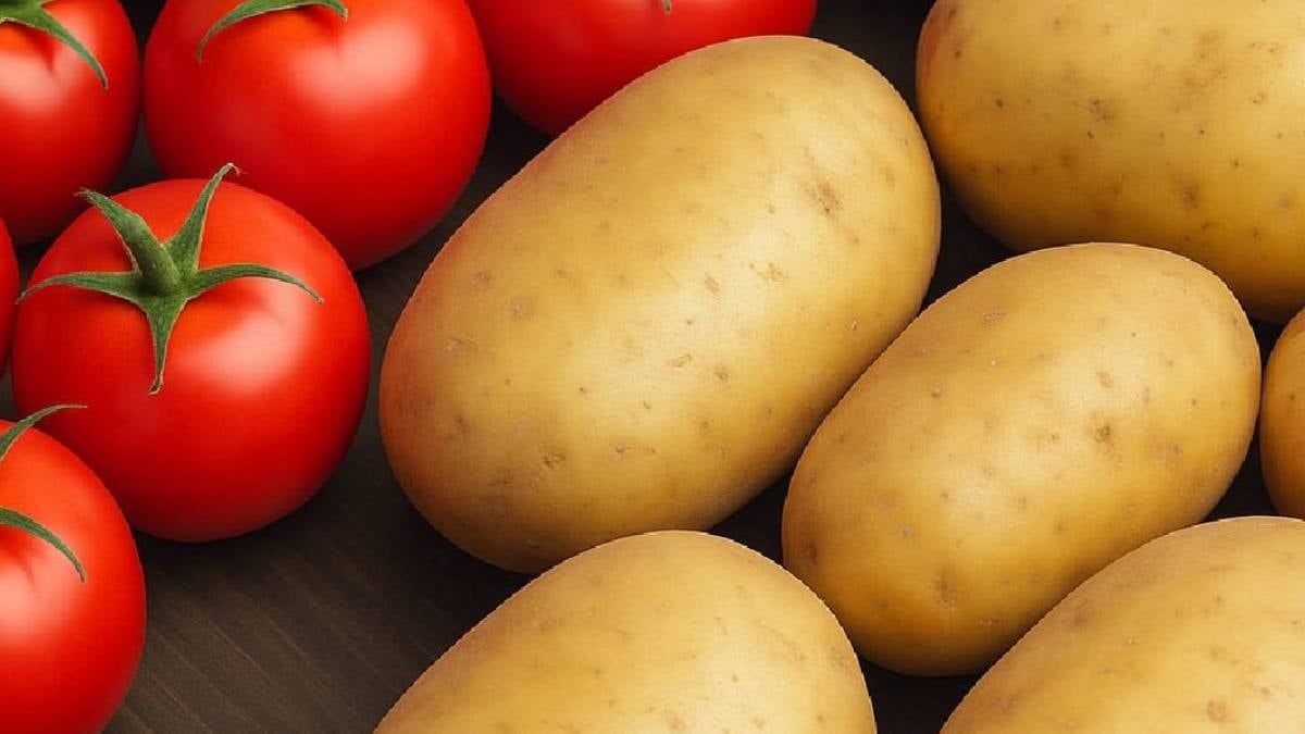 Domates ve patatesin akrabası çıktı: Tam 20 metre uzunlukta