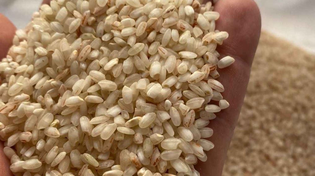 Eylül'e kadar başında nöbet tutacaklar: 500 ton üretip dünyaya satacaklar
