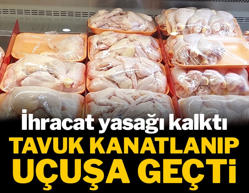 İhracat yasağı kalktı: Tavuk kanatlanıp uçuşa geçti