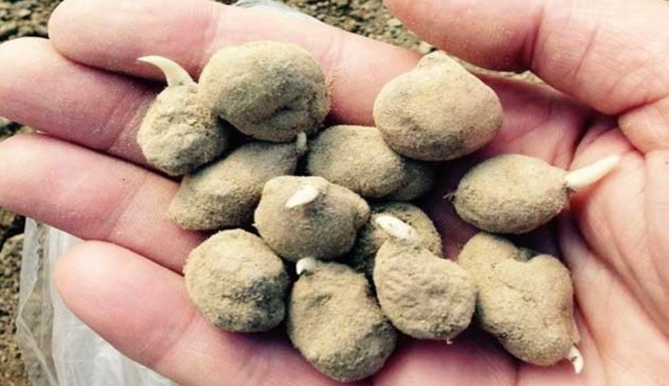 Tezgah başında bekleyen zengin oluyor: 1 kilosu 18 bin TL'ye satılıyor